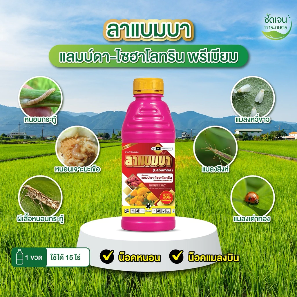 ลาแบมบา ตราม้าทองเศรษฐี**1 ขวด** (แลมบ์ดาไซฮาโลทรินพรีเมียม) น็อคสูตรเย็นพ่นได้ทุกระยะ ขนาด1 ลิตรใช้ได้15 ไร่
