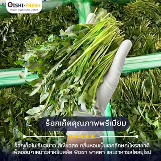 🛒Oishi-Fresh🥬ร๊อกเก็ต ปลอดสารพิษ 1 กก. รสชาติกรอบ สด ใหม่ ใยอาหารสูง หวานออร์แกนิค เคลมได้ 1-2 วัน