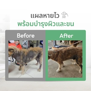 [เซ็ต 2 ขวด] Dr.Zkin Pet Spray ดร.สกิน เพ็ท สเปรย์ [100 ml.] ผลิตภัณฑ์สำหรับสัตว์เลี้ยง บำรุงขน ดับกลิ่น เพิ่มความหอม