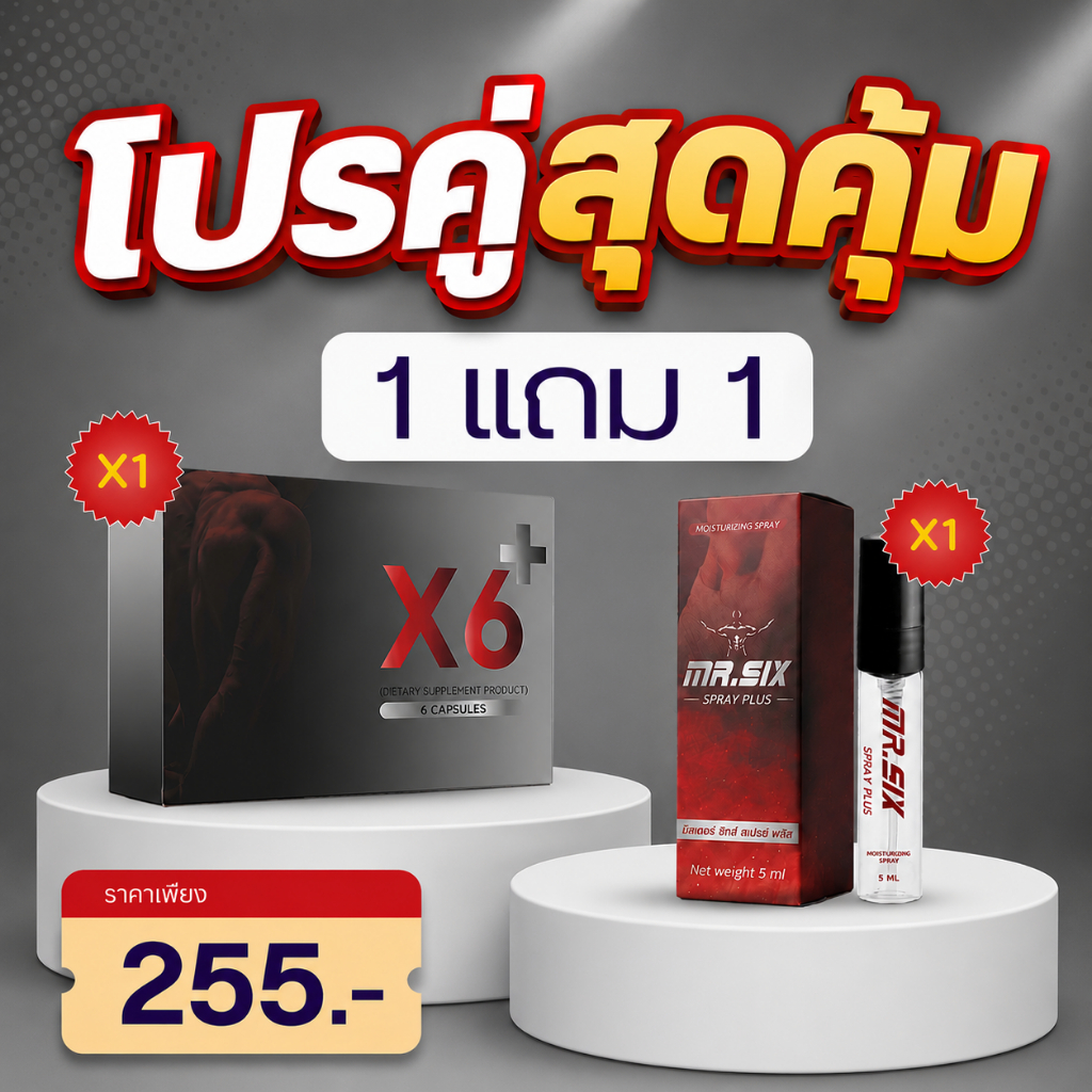 โปรคู่สุดคุ้ม X6 X Mister Six Spray