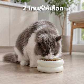 ALLYS ชามอาหารแมวเซรามิกสองชั้น ชามข้าวแมว ชามน้ำแมว ป้องกันสิวแมว ทรงสูงไม่ก้มมาก เซรามิกแท้ ปลอดสารตะกั่ว