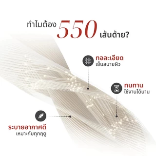 Baan Minimal 5ฟุต/6ฟุต ผ้าปูที่นอน กันไรฝุ่น รัดมุม360° ผ้าฝ้ายแท้ 100% นุ่มสบาย สไตล์มินิมอล