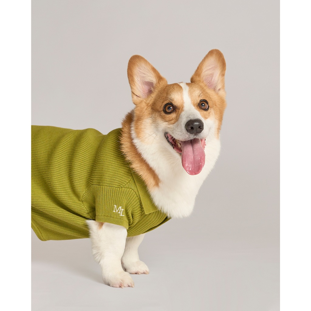 Midnight Layer - Classic Polo Collection - OLIVE