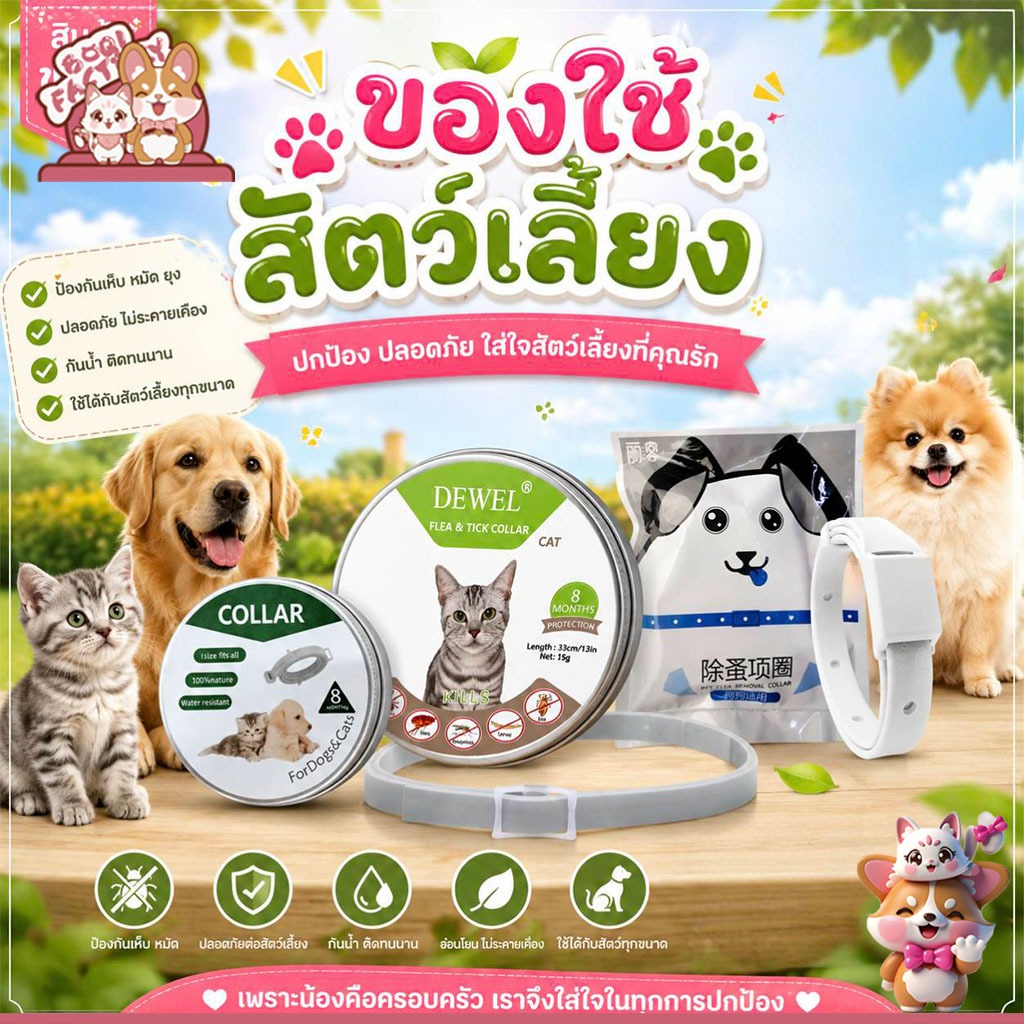 Boqi Factory ของใช้ ลดราคา จัดโปร All5