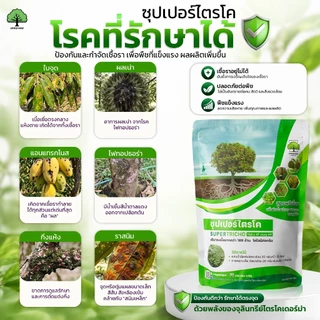 ซุปเปอร์ไตรโค ตราเทพมงคล แพ็ค 10 ซอง ไตรโคเดอร์มา ป้องกัน กำจัดเชื้อราและโรคพืช ขนาด 500 กรัม ชนิดผง
