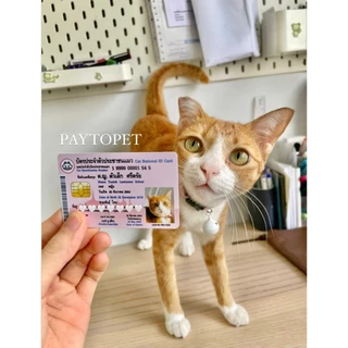 บัตรประชาชนสัตว์เลี้ยง 🐱 บัตรแข็ง PVC (ทักร้านค้าก่อนกดสั่งซื้อ) Pet ID Card