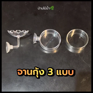 ท่อให้อาหารกุ้ง จานอาหารกุ้ง หลอดให้อาหารกุ้ง จานกุ้ง Shrimp Feeding Food Tube Suction Cup | บ้านไม้น้ำ🌿