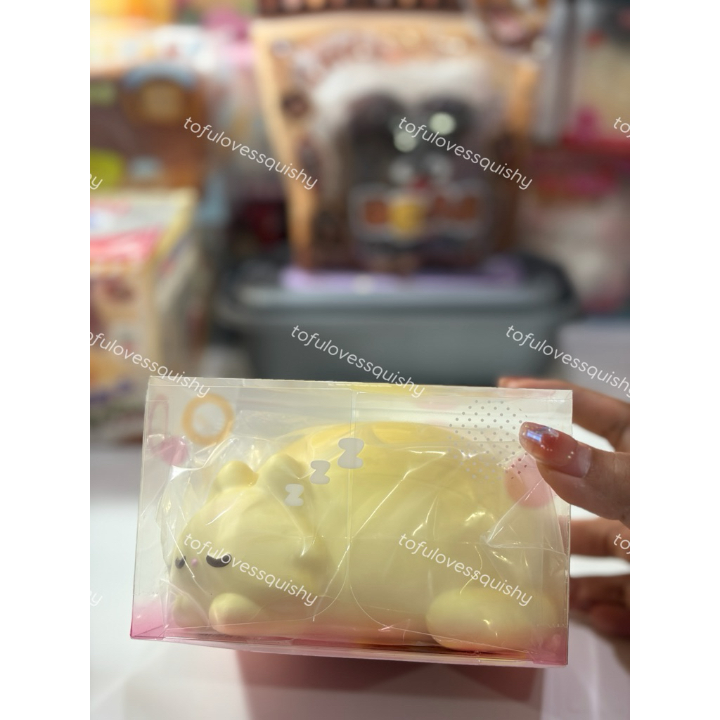 🐱[พร้อมส่งในไทย] Ibloom แมวนอน (Squishy)