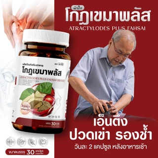 โกฐเขมาฟ้าใส บำรุงข้อเข่า กระดูกทับเส้น แก้ปวดเมื่อยร่างกาย เหน็บชา : 1 กระปุก