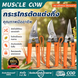 MUSCLE COW กรรไกรตัดกิ่งไม้8นิ้ว 3รุ่น ปากโค้ง/ปากตรงแหลม/ปากตรงแบน ใบมีดสแตนเลส ตัดกิ่ง ตัดสายยาง ผ้าได้