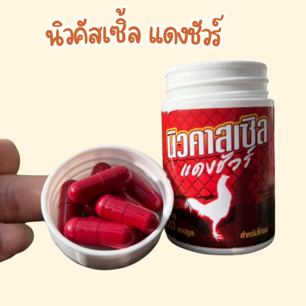 นิวคัสเซิ้ลแดงชัวร์ อาหารไก่ กระปุกแดง