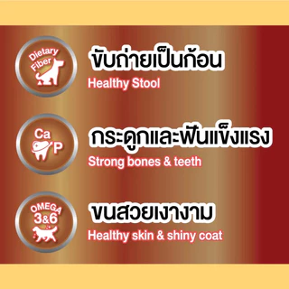 Bingo Star Yummy stick บิงโกสตาร์ ยัมมี่ สติ๊ก ขนมสุนัข ขนมแท่ง ขนาด 500 กรัม