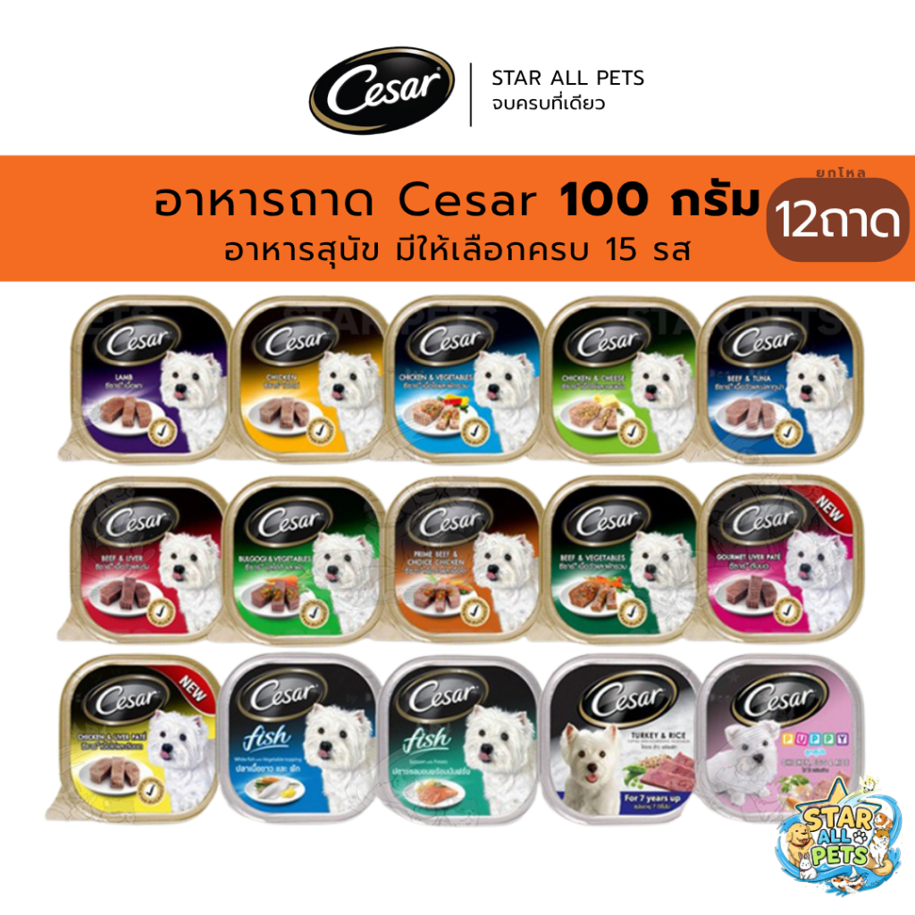 (12ถาด) Cesar ซีซาร์ อาหารสุนัข ขนาด 100กรัม Cesar Tray