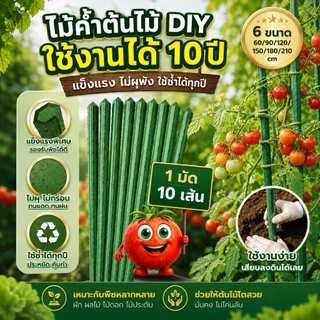 【ส่งของจากกรุงเทพ】 10แท่ง ไม้ค้ำต้นไม้ เสาค้ำต้นไม้ หลักไม้เลื้อยยาว60/90/120/150/180ซม. หนา8.11.16.20มม ท่อเหล็กPE