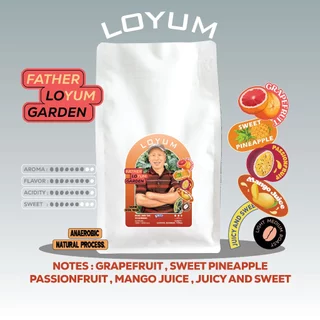 BIG SIZE / LIGHT MEDIUM ROAST / เมล็ดกาแฟไทย ขนาด 500g -1kg ราคาพิเศษ
