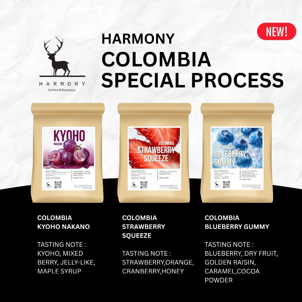 เมล็ดกาแฟ Colombia Special Process:  Kyoho, Blueberry Gummy, Strawberry Squeeze : เมล็ดกาแฟคั่วอ่อน Harmony coffee