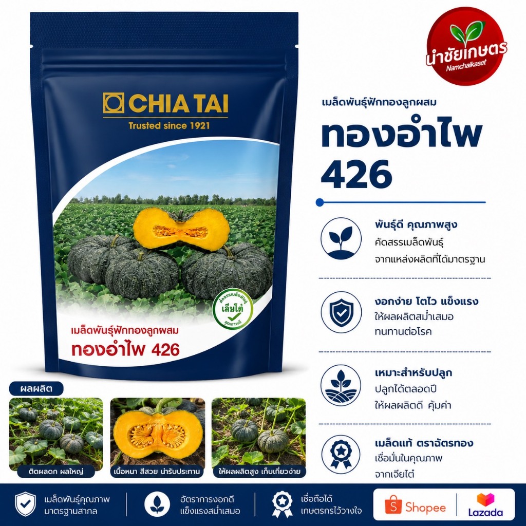 เจียไต๋ ฟักทอง ทองอำไพ 426 100กรัม