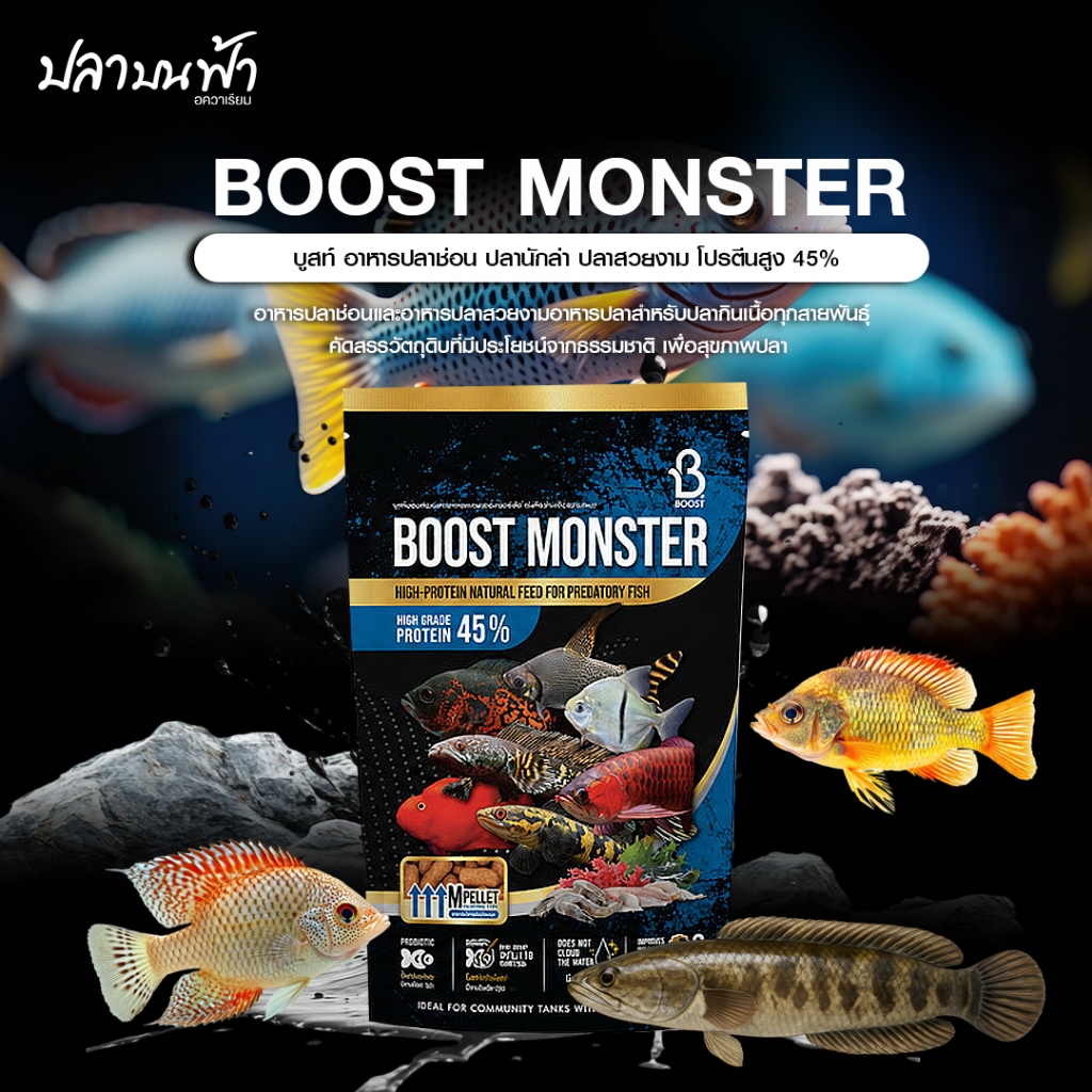Boost Monster อาหารปลาช่อน ปลามังกร ปลาออสก้า ปลานักล่า ปลาในกลุ่ม Exotic fish ขนาด 500 กรัม