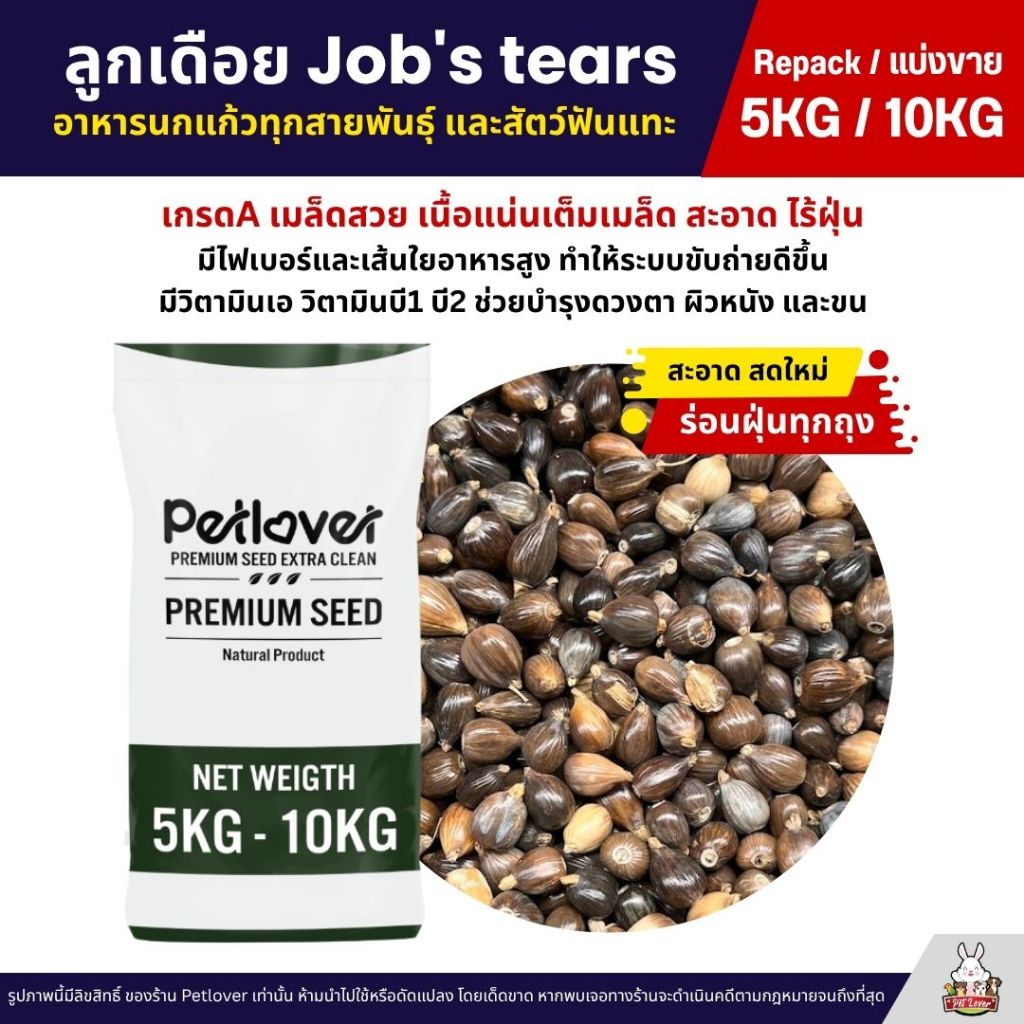 (5KG/10KG) ลูกเดือย Job's tears เกรดA นำเข้า อาหารนกแก้ว หนูแฮมสเตอร์ และสัตว์ฟันแทะ