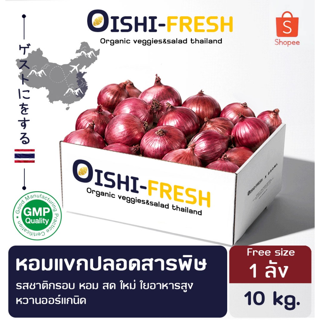 ส่งด่วน ร้านอาหาร หอมแขกปลอดสารพิษ 10 กก.ผักร้านอาหาร ผักยกลัง ผักราคาส่ง ผักชาบู ผักโรงแรม ส่ง 24 ชม.