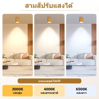 👉3สี หลอดไฟฟรี LED โคมกระป๋อง โคมไฟดาวน์ไลท์ ขั้ว e27 Downlight ดาวน์ไลท์ ติดลอย 6” และ 5” ดาวไลท์ โคมไฟ โคมโคมติดลอย