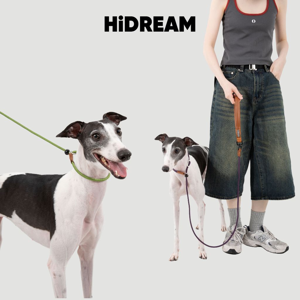 [ส่งด่วน] HiDREAM สายจูงสุนัข Bobo Control ด้ามจับหนังนุ่ม สายไนลอนแข็งแรง ลดแรงกระชาก ควบคุมง่าย