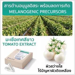 Dr.Aum Phytovita มะเขือเทศสีขาว 300 มิลลิกรัม Pearl tomato 300 mg/ capsule