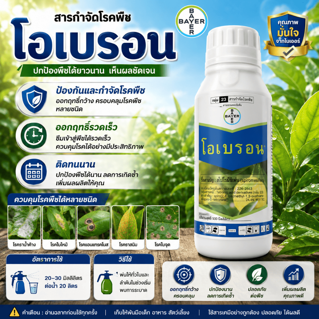 โอเบรอน 500ซีซี สารสามัญ(สไปโรมีซิเฟน24% W/V SC) กำจัดเพลี้ยไฟไรแดง
