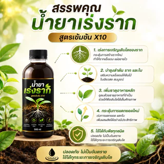 🌱เร่งรากเข้มข้น🌱 เร่งการเจริญเติบโต บำรุงราก ดอก ใบและ ลำต้นของพืชได้ดี เห็นผลไว น้ำยาระเบิดราก