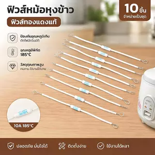[Fast Ship]ฟิวส์ตัดความร้อน185องศา10A RF250V 10ชิ้น, ฟิวส์อุณหภูมิเซรามิก RF 250V สำหรับหม้อหุงข้าวไฟฟ้าป้องกันความต้านท