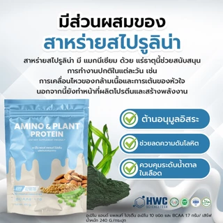 Amino & Plant Protein โปรตีนพืช 5ชนิด - โปร3 กระสอบ