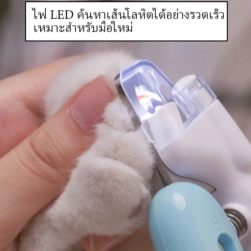 ของขวัญลึกลับฟรี🎁ฟรีของขวัญสุ่ม（จำกัด 100 สำเนา）สินค้าอุปกรณ์สำหรับสัตว์เลี้ยง thumbnail 9