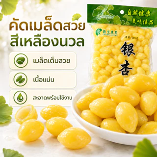 แปะก๊วยสด เม็ดใหญ่ ไม่ดำ | ไม่ต้องแทงไส้ ไม่ขมแม้ไม่ออก | คัดเกรด บำรุงสมอง Ginkgo Nuts