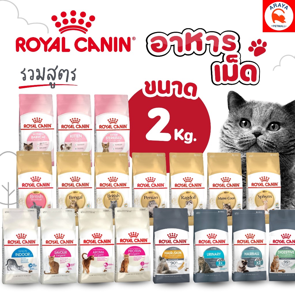 *2kg.* Royal canin อาหารเม็ดแมว