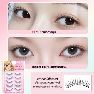 Dreehalo ซีรีส์มือใหม่ ใสธรรมชาติ กันน้ำ ขนตาปลอมสไตล์เกาหลี เบา ฟู เป็นธรรมชาติ ใส่แล้วตาหวาน ลุคไอดอลทุกวัน F298