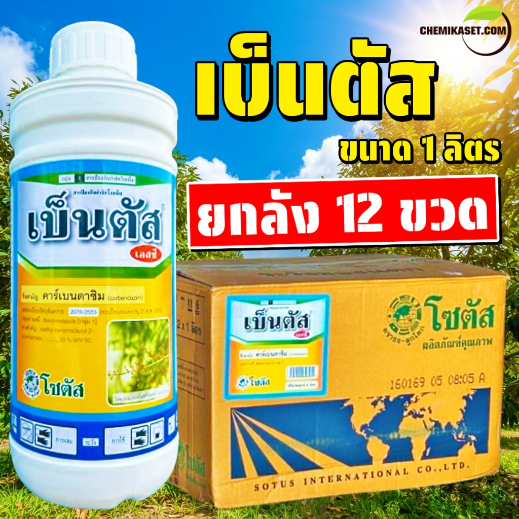 (ยกลัง12ขวด) เบ็นตัส เอสซี ขนาด 1 ลิตร คาร์เบนดาซิม ป้องกันกำจัดโรคพืช โรคกาบใบ โรคช่อดอดำ