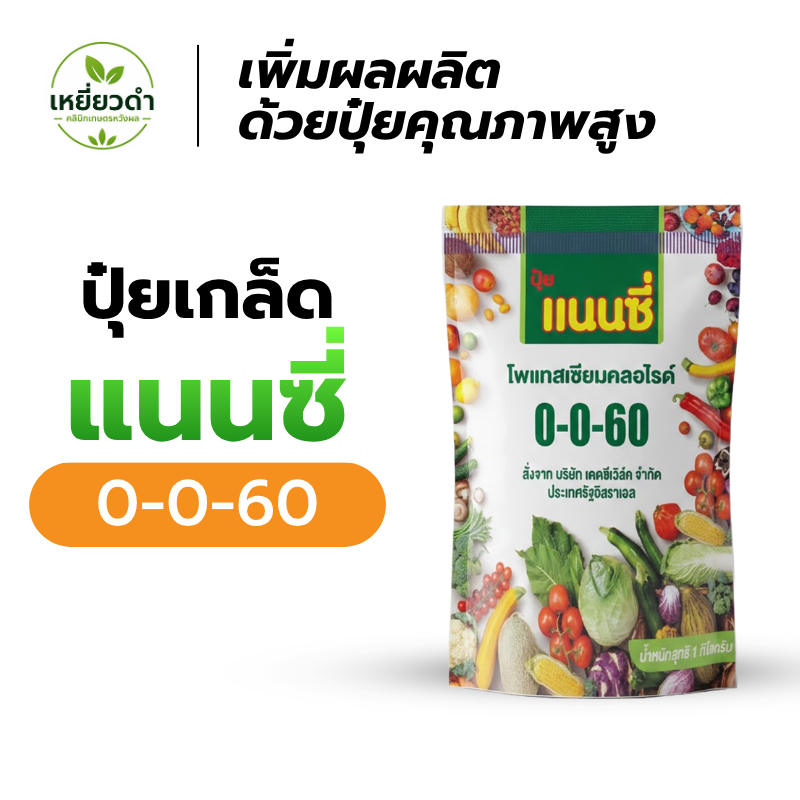 ปุ๋ยเกล็ด แนนซี่ 0-0-60 ปุ๋ยหวาน เพิ่มน้ำหนัก ขยายขนาดผล เร่งลงหัว เพิ่มแป้งและน้ำตาล ขนาด 1 กก.