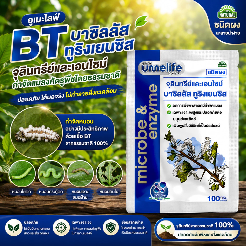 อูเมะไลฟ์ บาซิลัส ทูริงเยนซิส 100 กรัม จุลินทรีย์กำจัดหนอน ป้องกันแมลงกินใบ ป้องกันใบเหี่ยวจากเพลี้ย