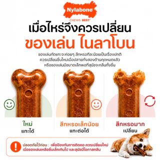 🇺🇸Made in USA🇺🇸 Nylabone Power Chew Bone Dog Toy กระดูกกัดแทะ ของเล่นขัดฟันสุนัข ไร้สารพิษ 3 ชิ้น