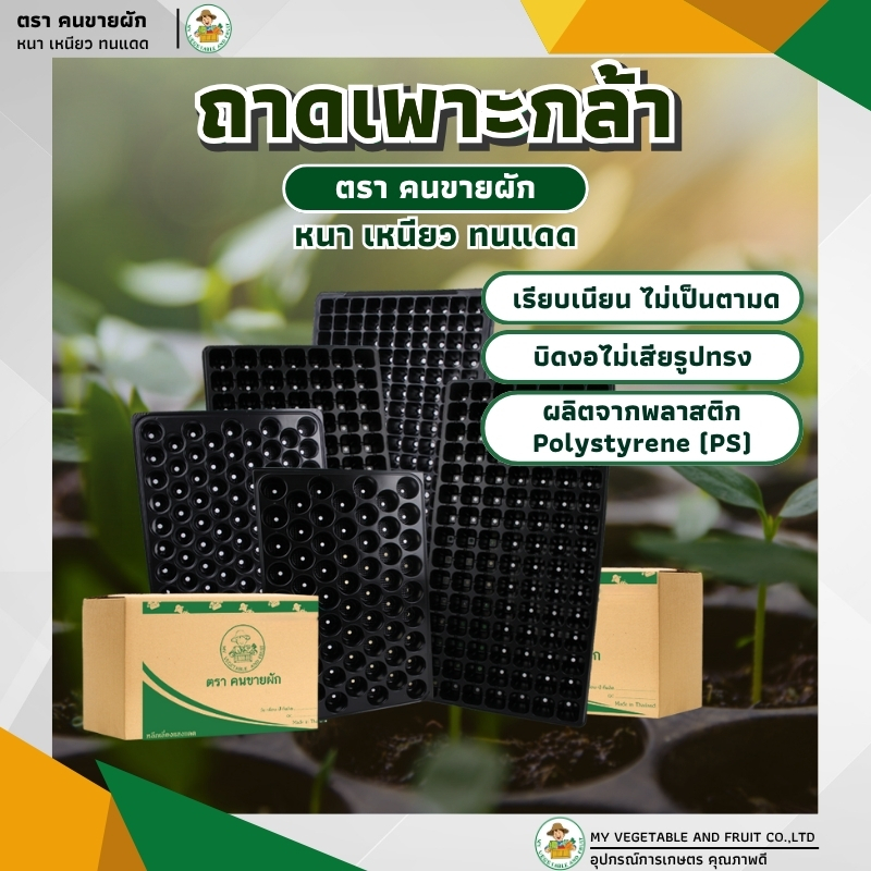 ถาดเพาะกล้า ถาดเพาะชำ ถาดเพาะเมล็ด ต้นอ่อน ขนาด 60, 104, 105, 200 หลุม (1ใบ)