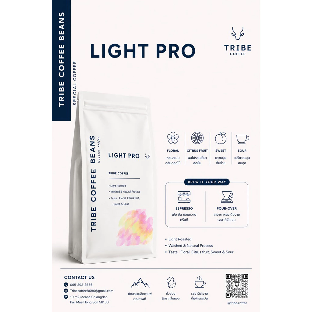 เมล็ดกาแฟคั่วอ่อน Light Pro