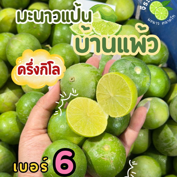 มะนาวแป้นบ้านแพ้วเบอร์6 (เล็ก) ครึ่งกิโล/1กิโล/2กิโล