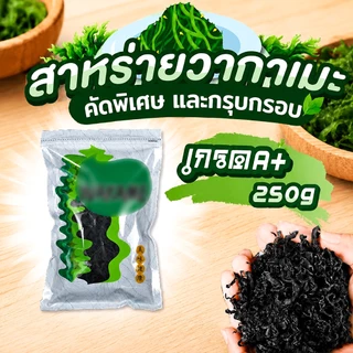 สาหร่าย สาหร่ายวากาเมะ 250g เกรดA+ ใบยอดอ่อนต้นฤดูใหม่ สาหร่ายวากาเมะอบแห้ง 裙带菜