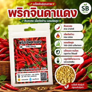 พริกแดงจินดา [150-200เมล็ด/ซอง] 🔥โปรโมชั่น [ซื้อ 2แถม 1ซอง]
