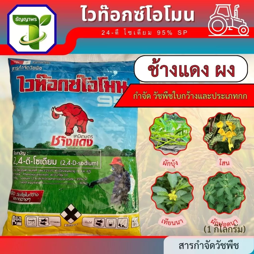 ช้างแดง ผง ไวท๊อกซ์โอโมน (24-ดี โซเดียม 95% SP) 1กก. ใช้สำหรับกำจัดวัชพืชใบกว้าง ผักบุ้ง ผักปอด