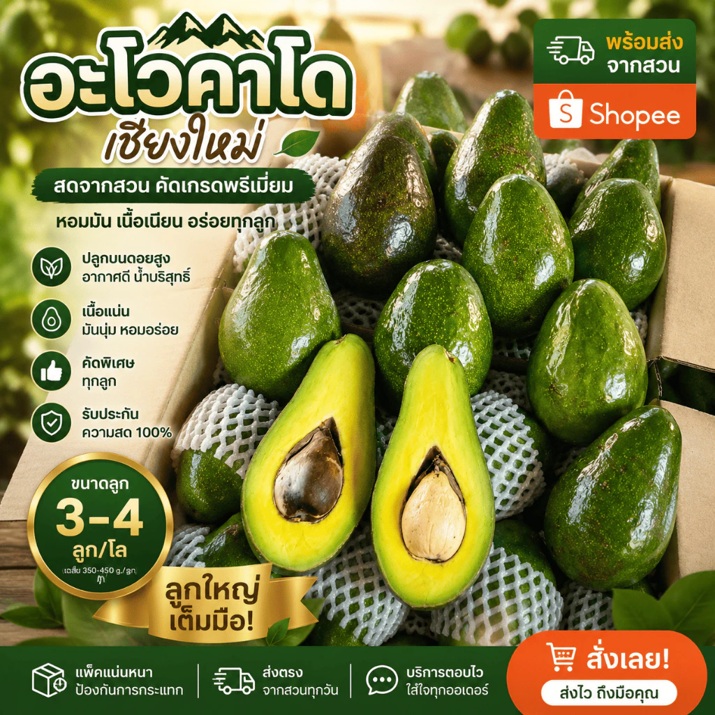 AVO DOI อโวคาโดสดจำนวน 5 กิโลกรัม ขนาด 3-4 ลูก