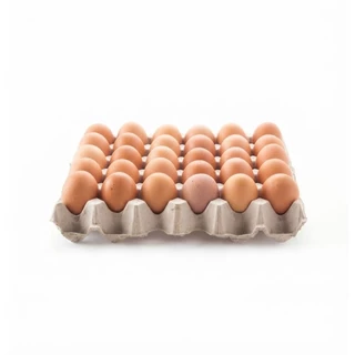 🛒Oishi-Fresh🥚ไข่ไก่สด ปลอดสารพิษ 1 กก. สด สะอาด ปลอดภัยได้มาตรฐาน โปรตีนสูง ส่ง 24 ชม.