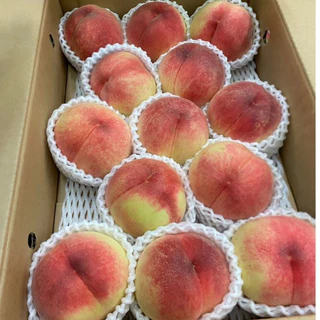🍑 Premium Fukushima Peach - ลูกพีชญี่ปุ่นแท้ นำเข้าจากเมืองฟุกุชิมะ