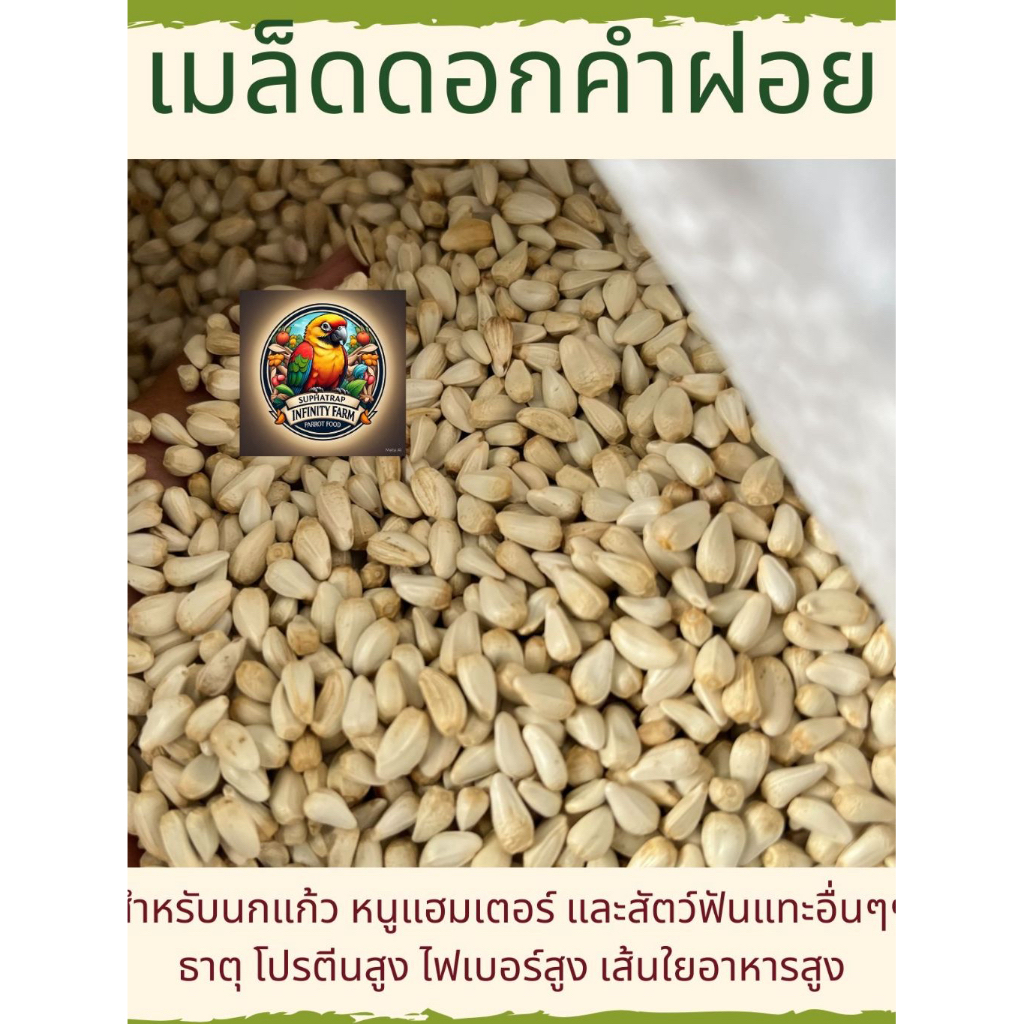ดอกคำฝอย Safflower (ทานตะวันขาวจิ๋ว) เกรดA เม็ดเล็ก อาหารนกแก้วและสัตว์ฟันแทะ สะอาด ร่อนฝุ่น (แบ่งขาย 250G / 500G / 1KG)