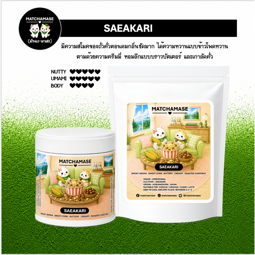 SAEAKARI MATCHA - MATCHAMASE มัทฉะมาเสะ